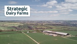 Understanding your data to make better strategic decisions